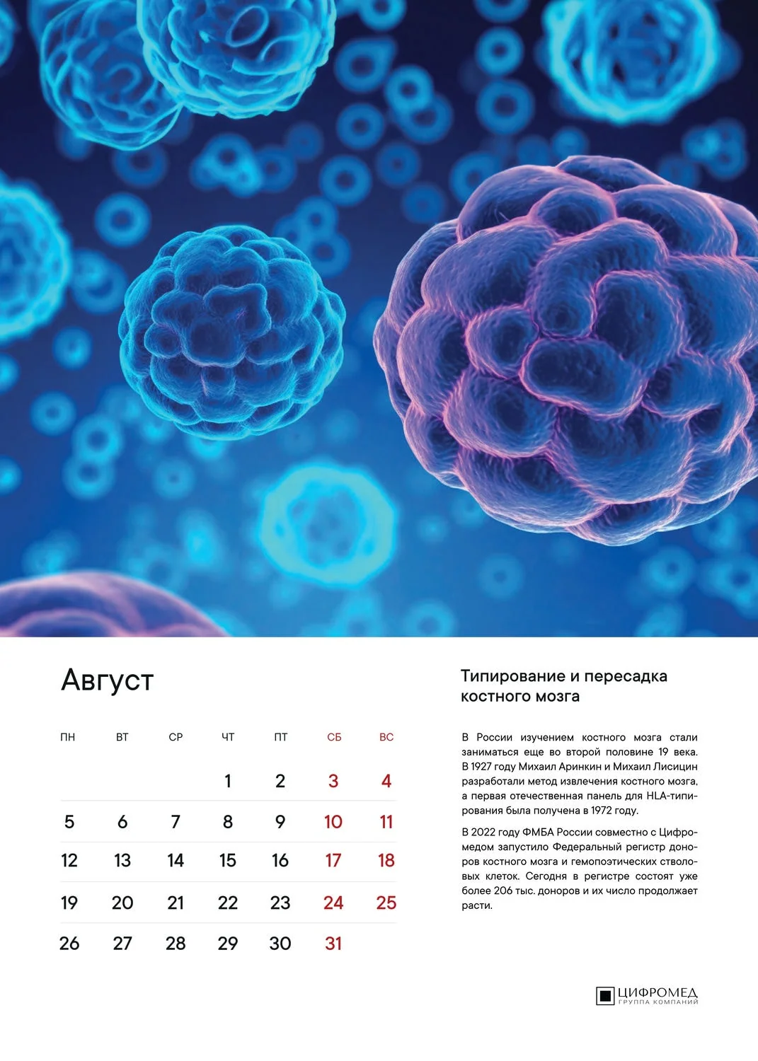 Август – Цифромед