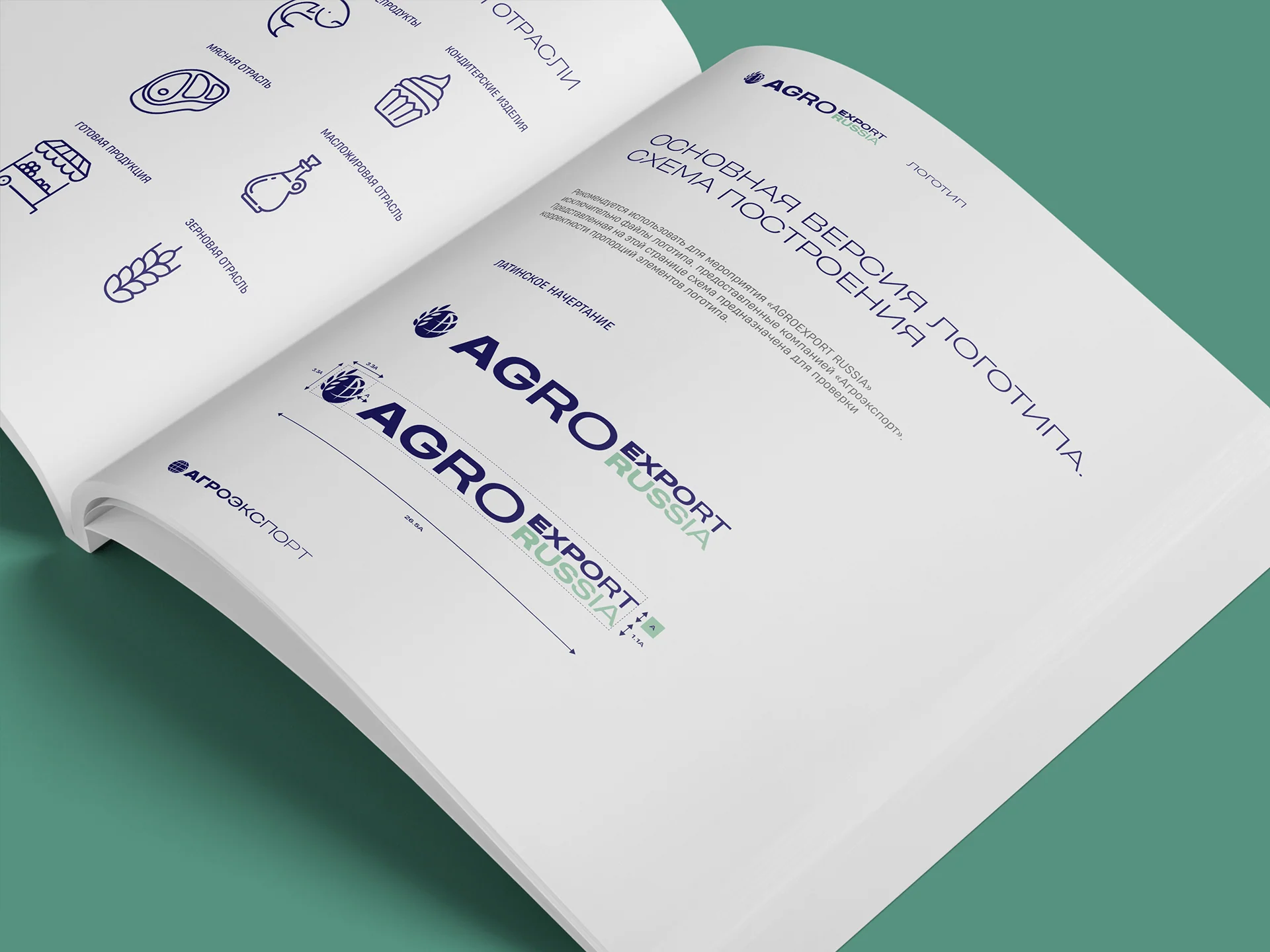Кейс Agro Export Russia разработка брендинга — Фото 3