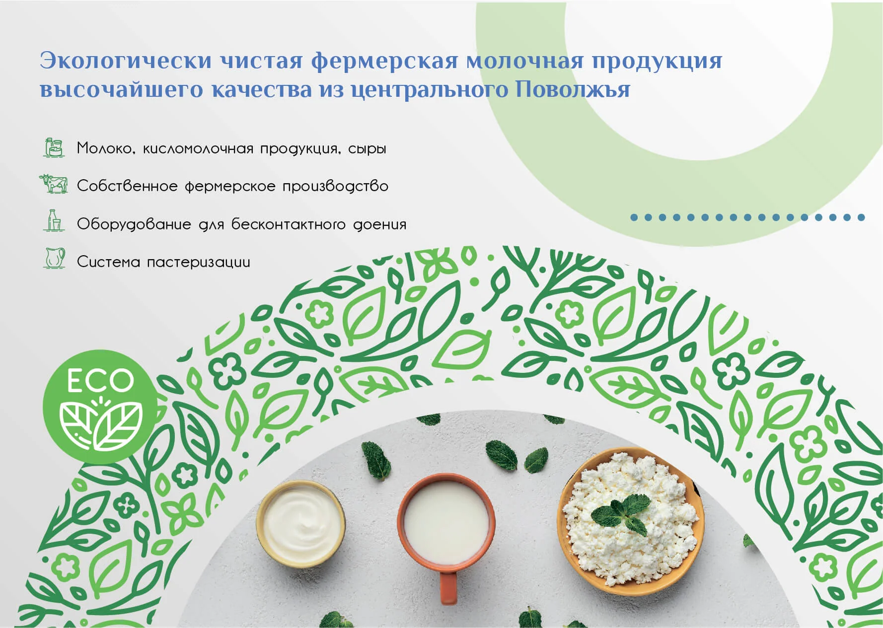 Кейс Эко-ферма разработка брендинга — Фото 3
