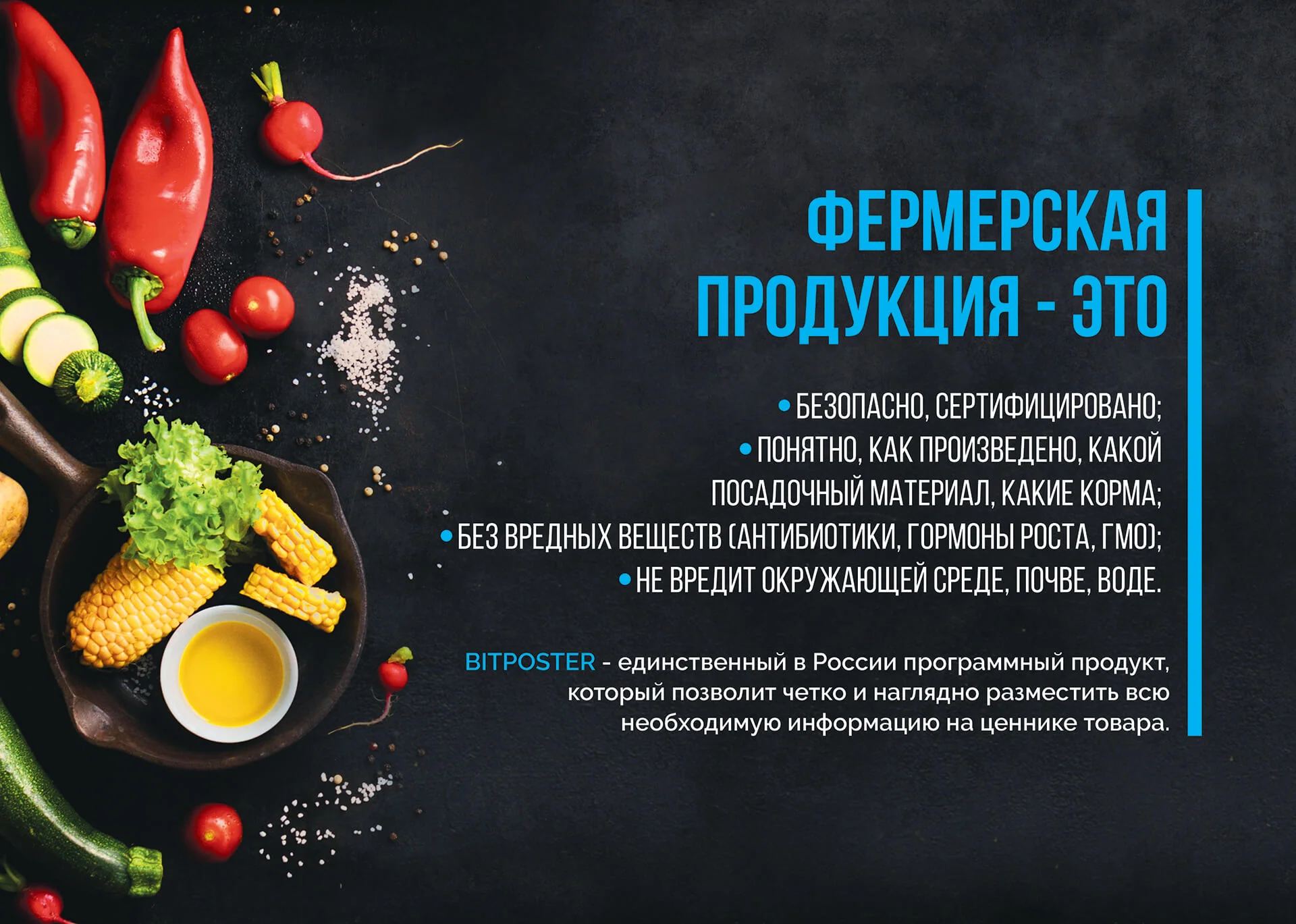 Кейс Стартап в области ритейла разработка брендинга — Фото 9