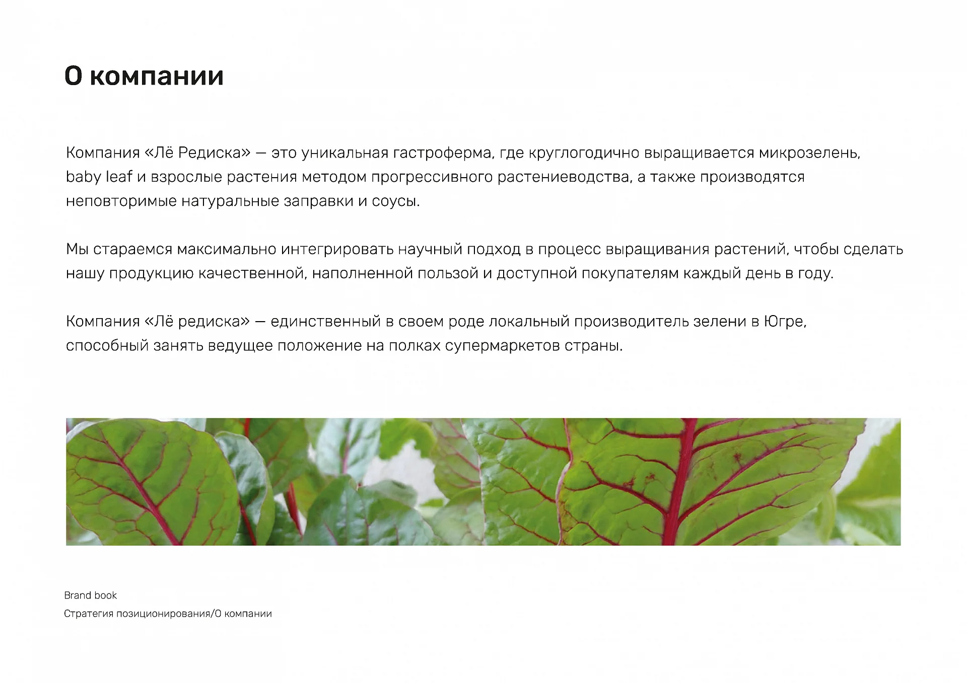 Кейс Le Rediska разработка брендбука — Фото 9