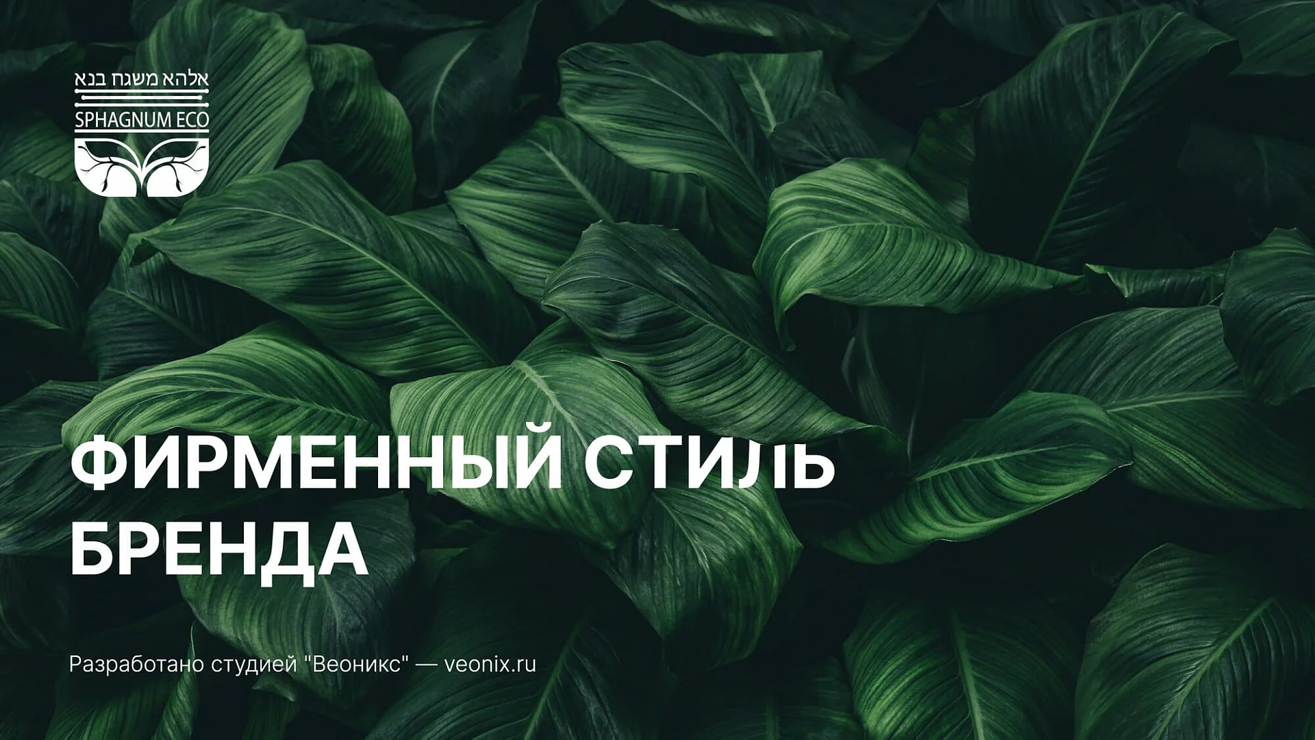 Кейс «Сфагнум» разработка брендбука — Фото 17