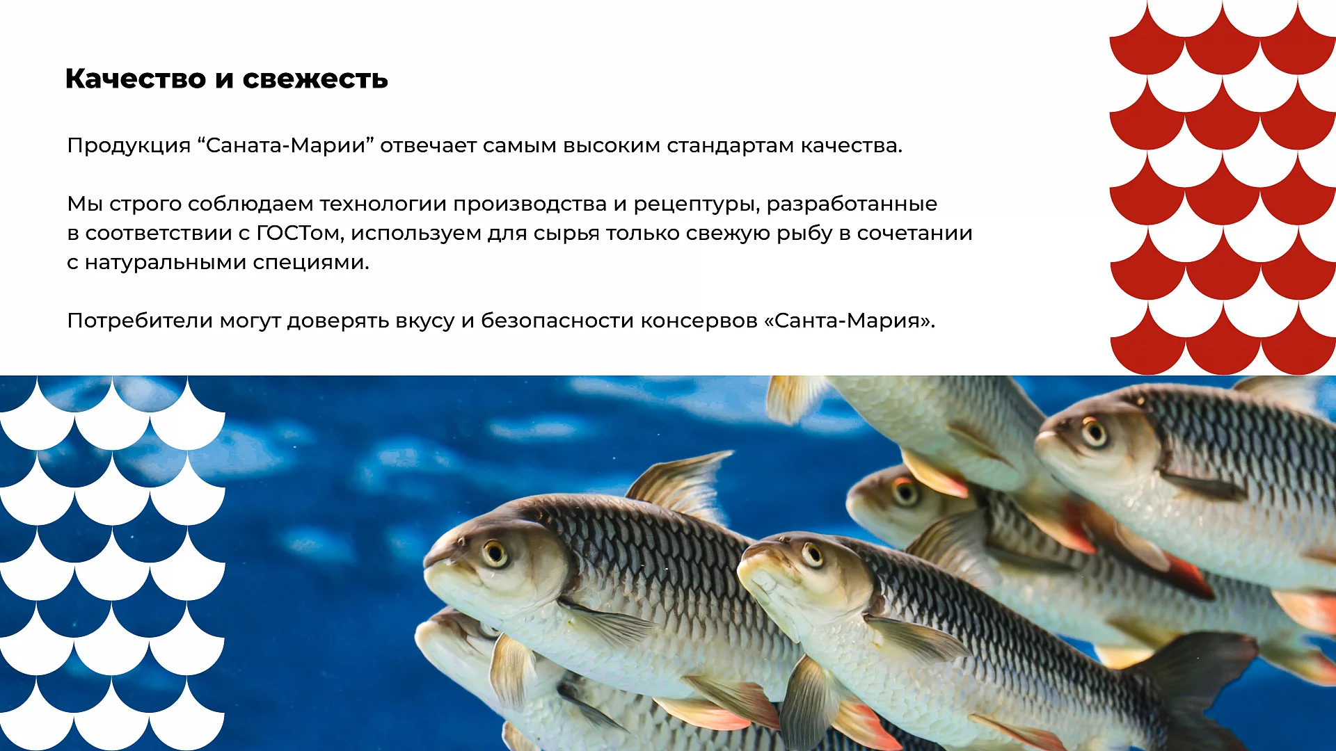 Кейс Санта-Мария разработка брендбука — Фото 6