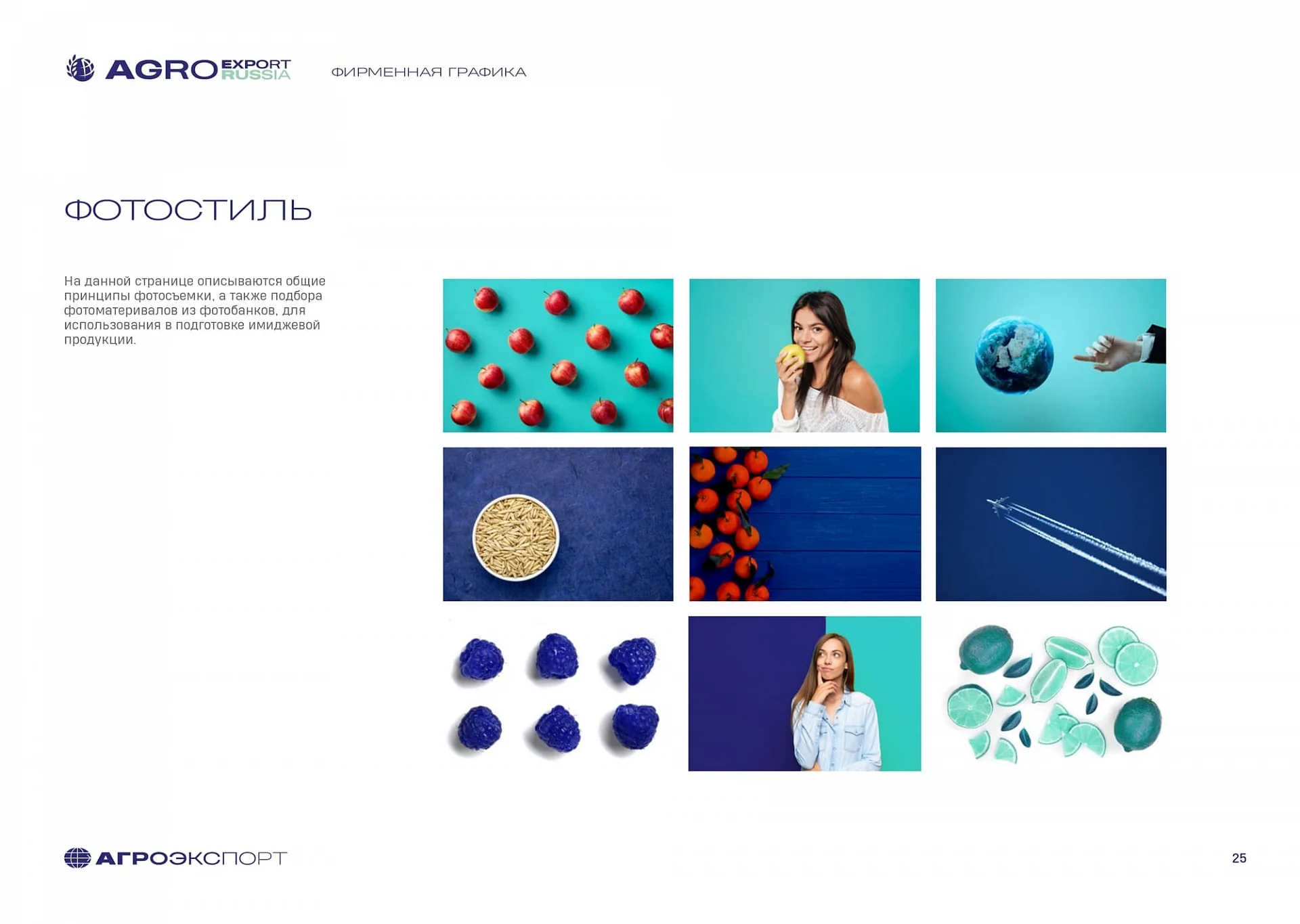 Кейс Agro Export Russia разработка брендинга — Фото 10