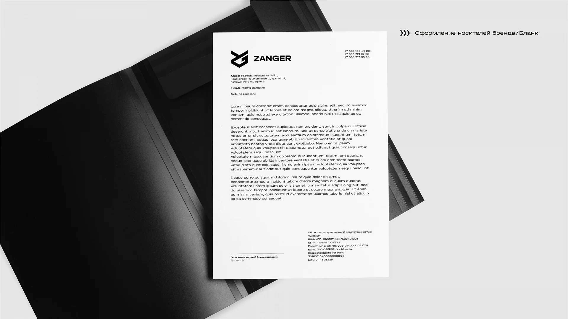 Кейс Zanger разработка брендбука — Фото 5
