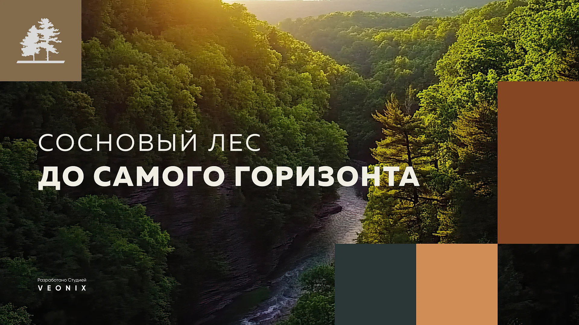 Кейс Бородино Village создание сайтов — Фото 4