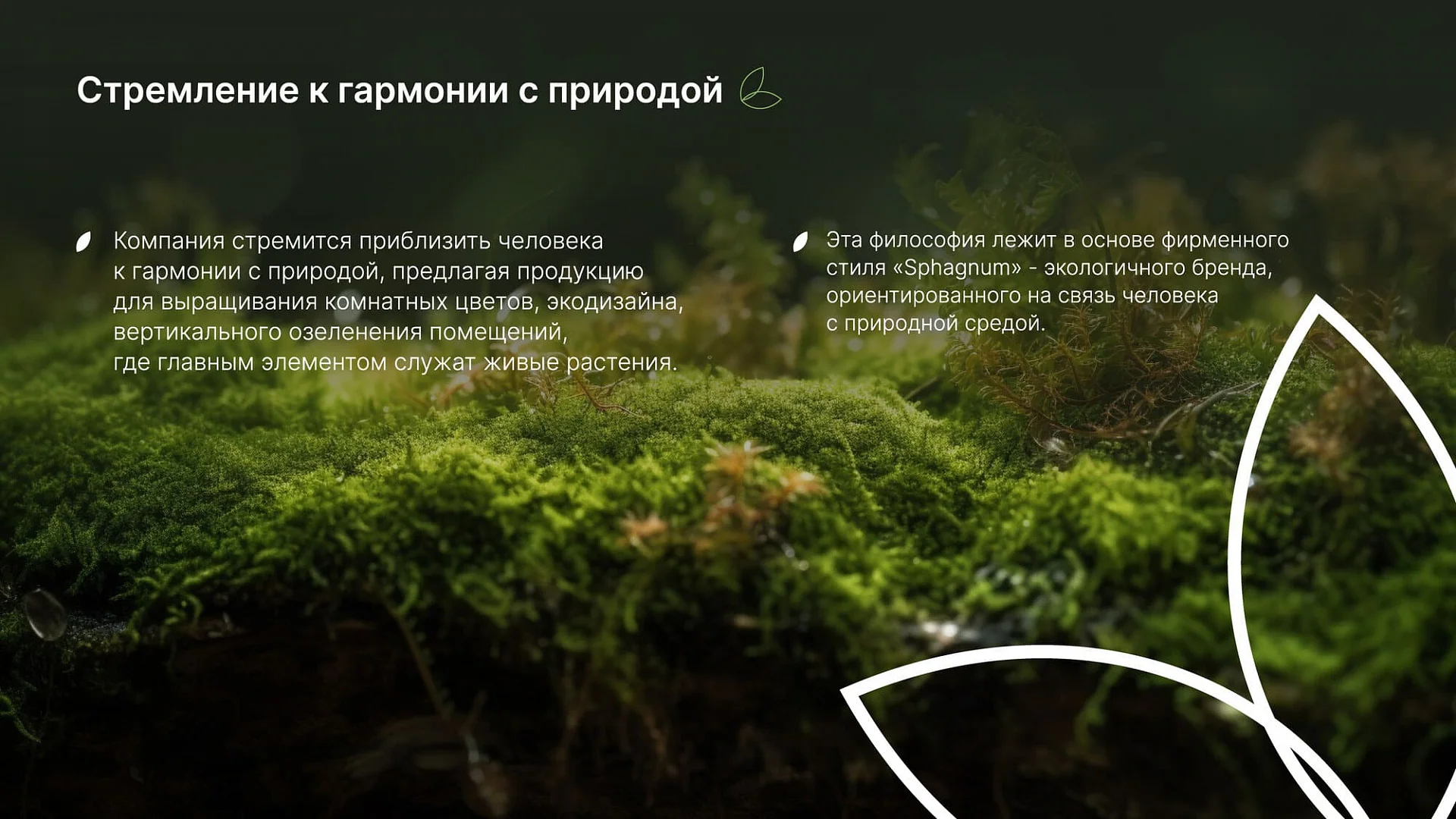 Кейс «Сфагнум» разработка брендбука — Фото 13