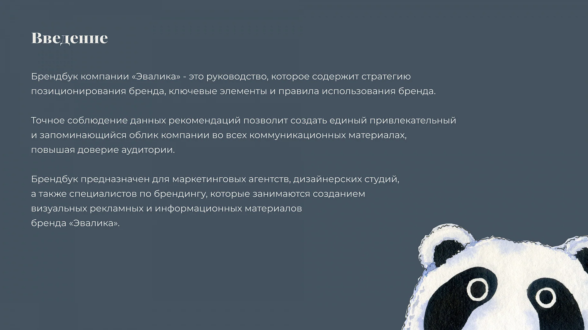 Кейс Эвалика разработка брендбука — Фото 6