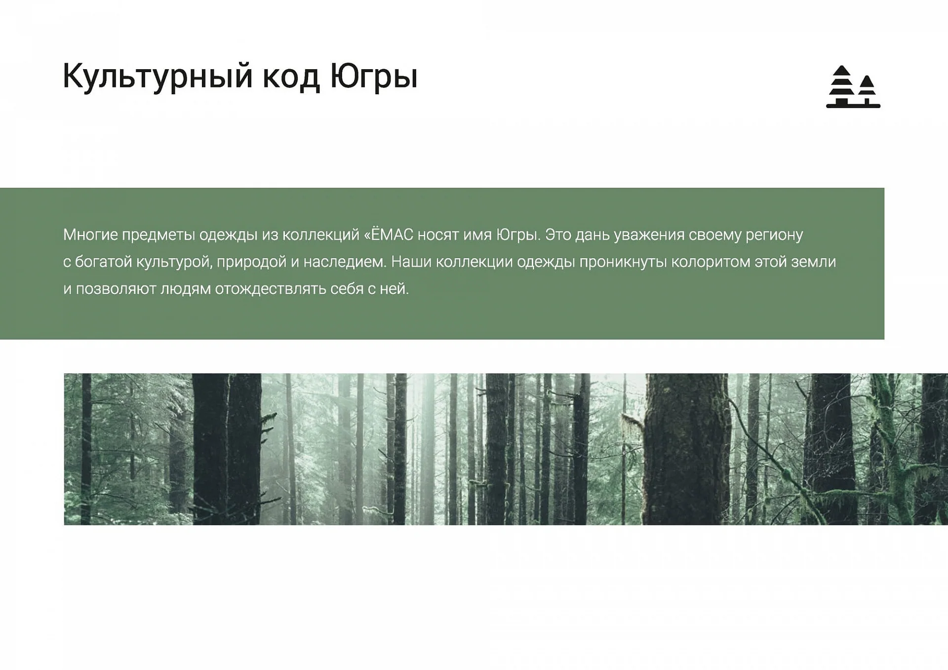 Кейс Производитель одежды «Ёмас» разработка брендбука — Фото 11