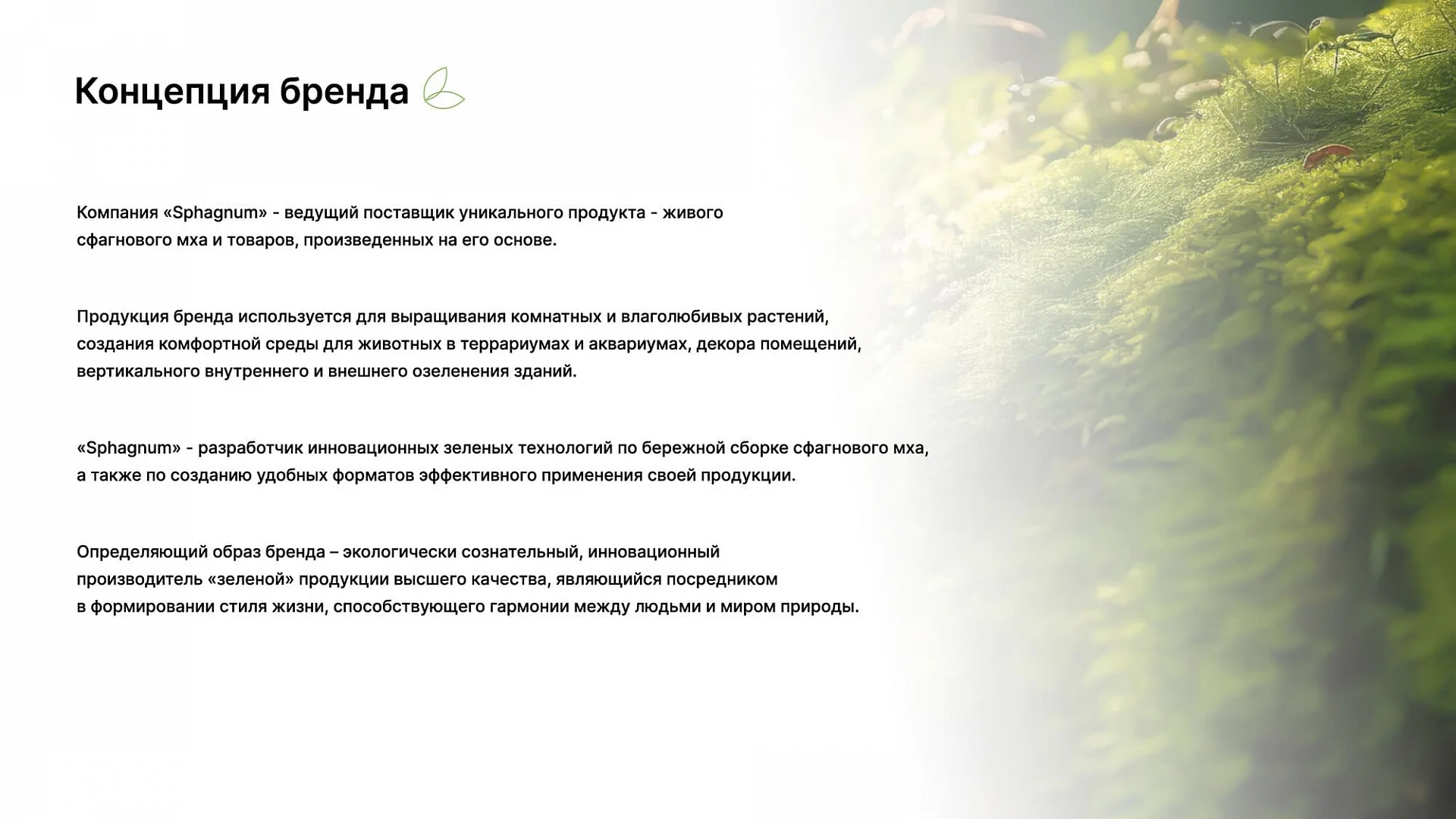 Кейс «Сфагнум» разработка брендбука — Фото 8