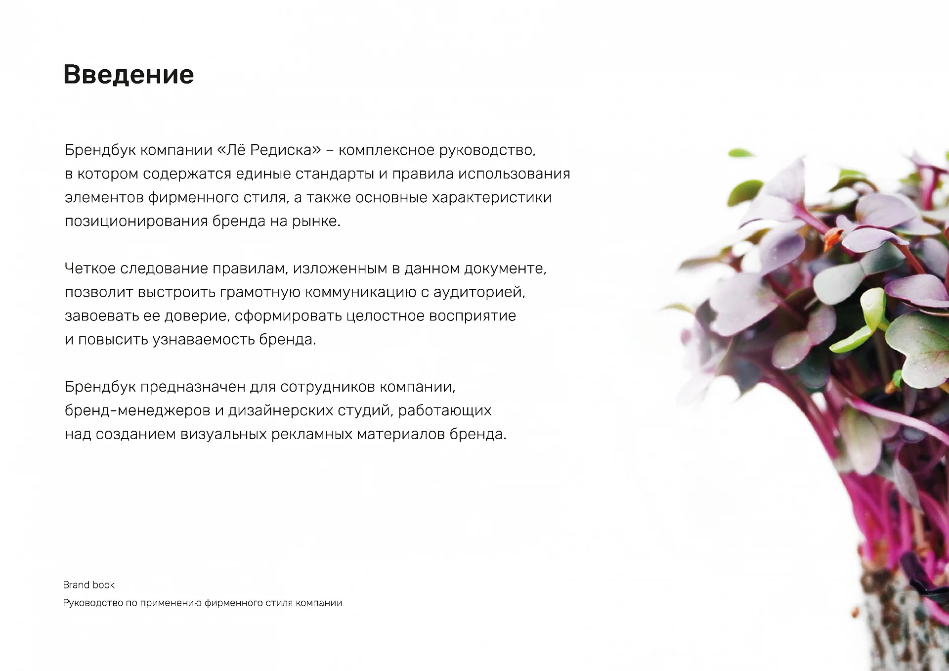 Кейс Le Rediska разработка брендбука — Фото 6