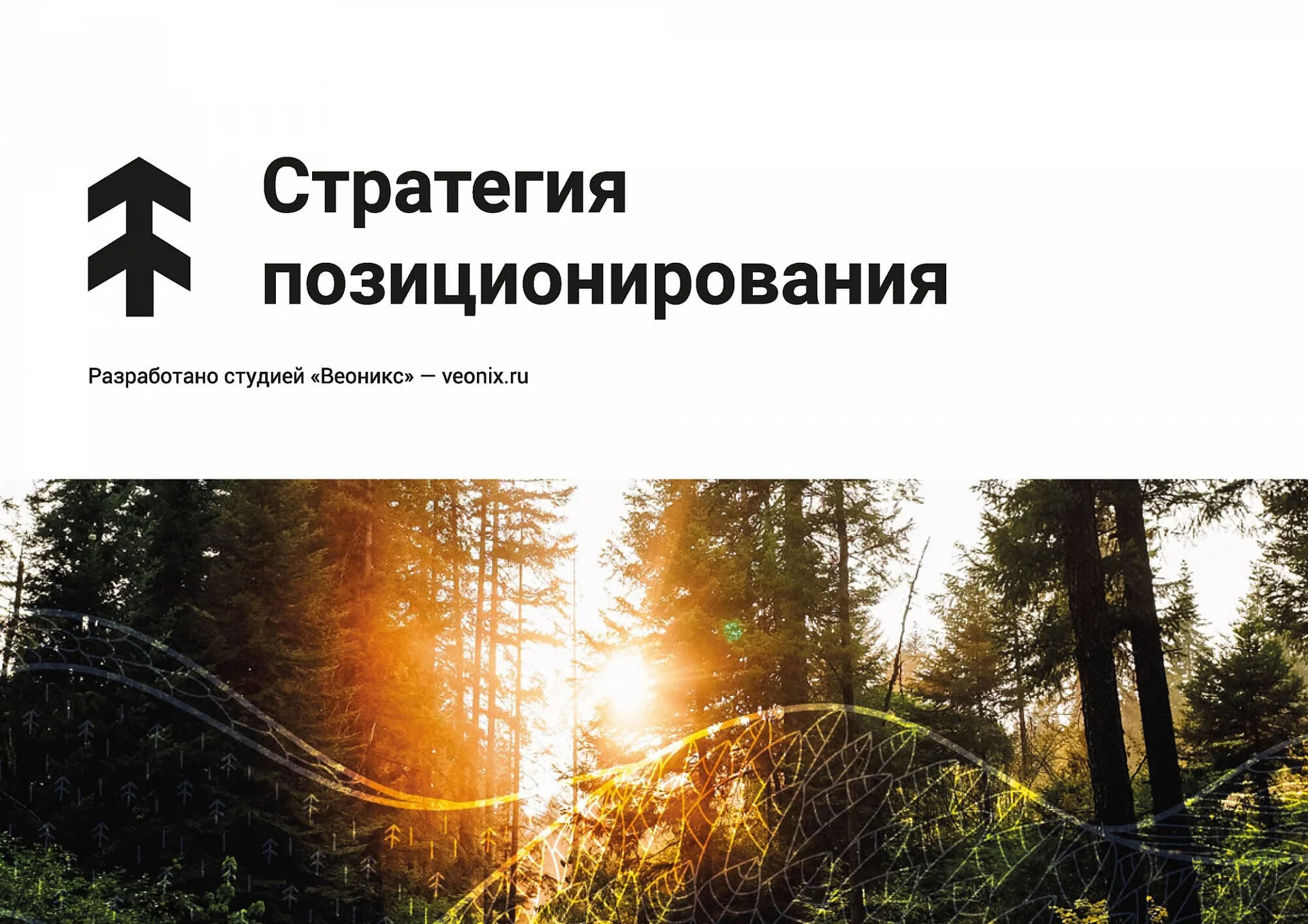 Кейс Производитель одежды «Ёмас» разработка брендбука — Фото 8