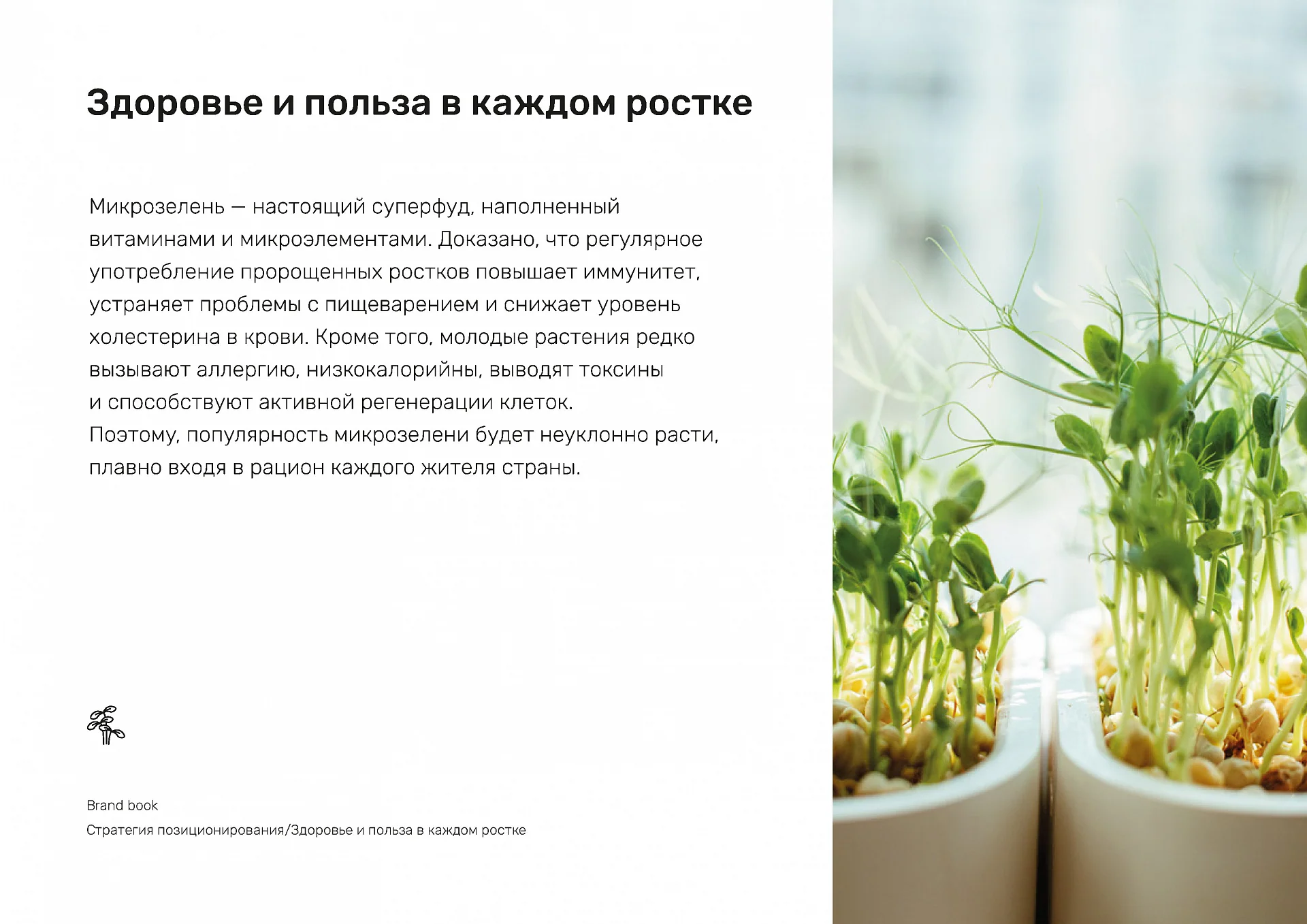 Кейс Le Rediska разработка брендбука — Фото 13