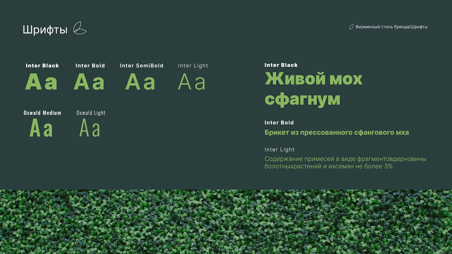 Кейс «Сфагнум» разработка брендбука — Фото 21