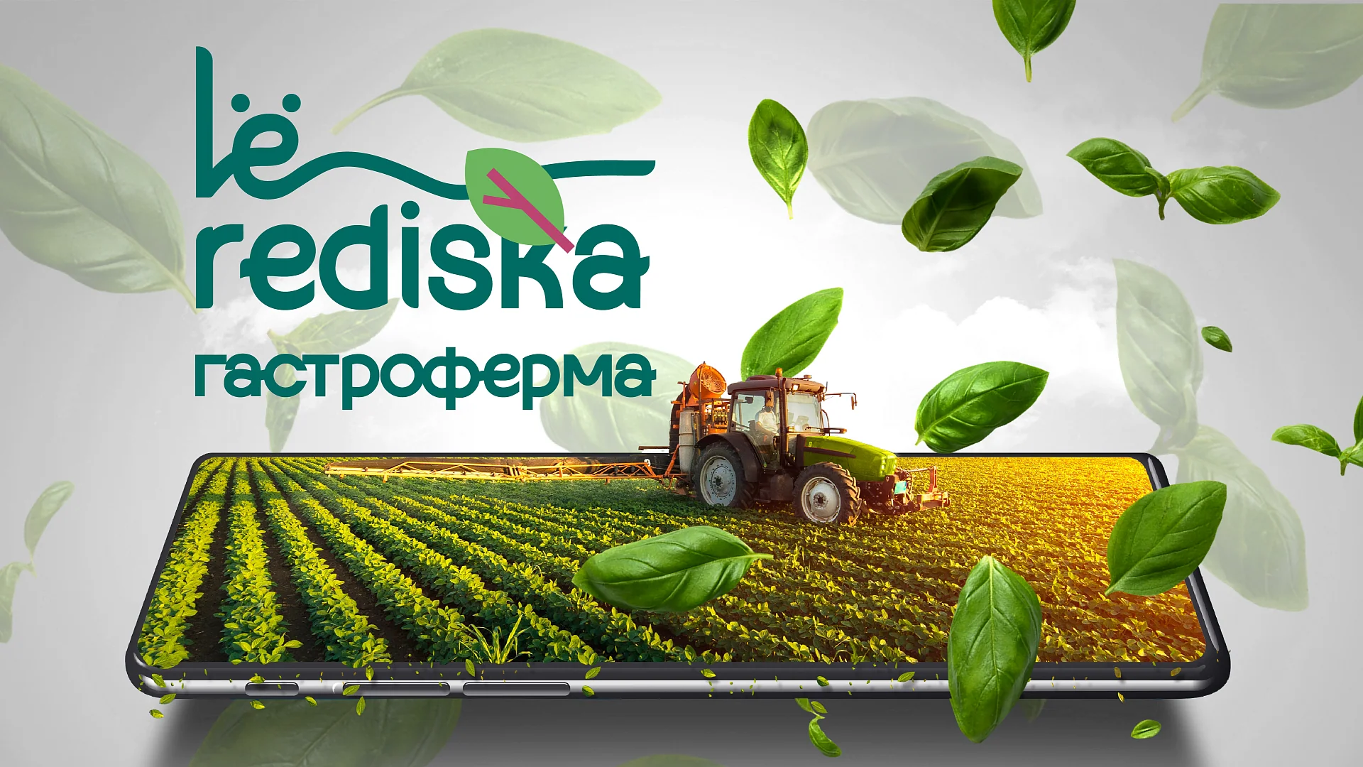 Кейс Le Rediska разработка брендбука — Фото 1