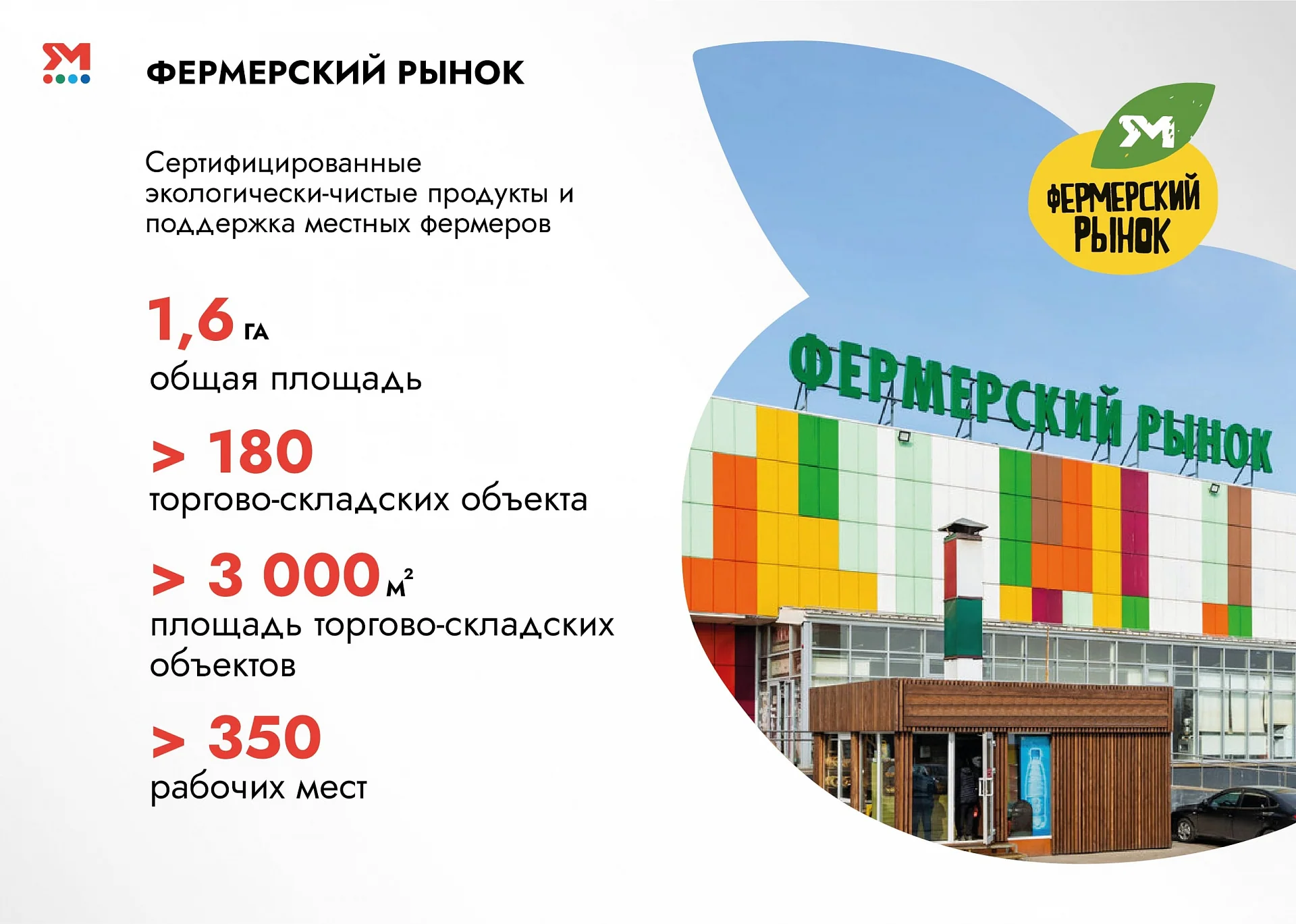 Кейс Мытищинская ярмарка дизайн презентации — Фото 10