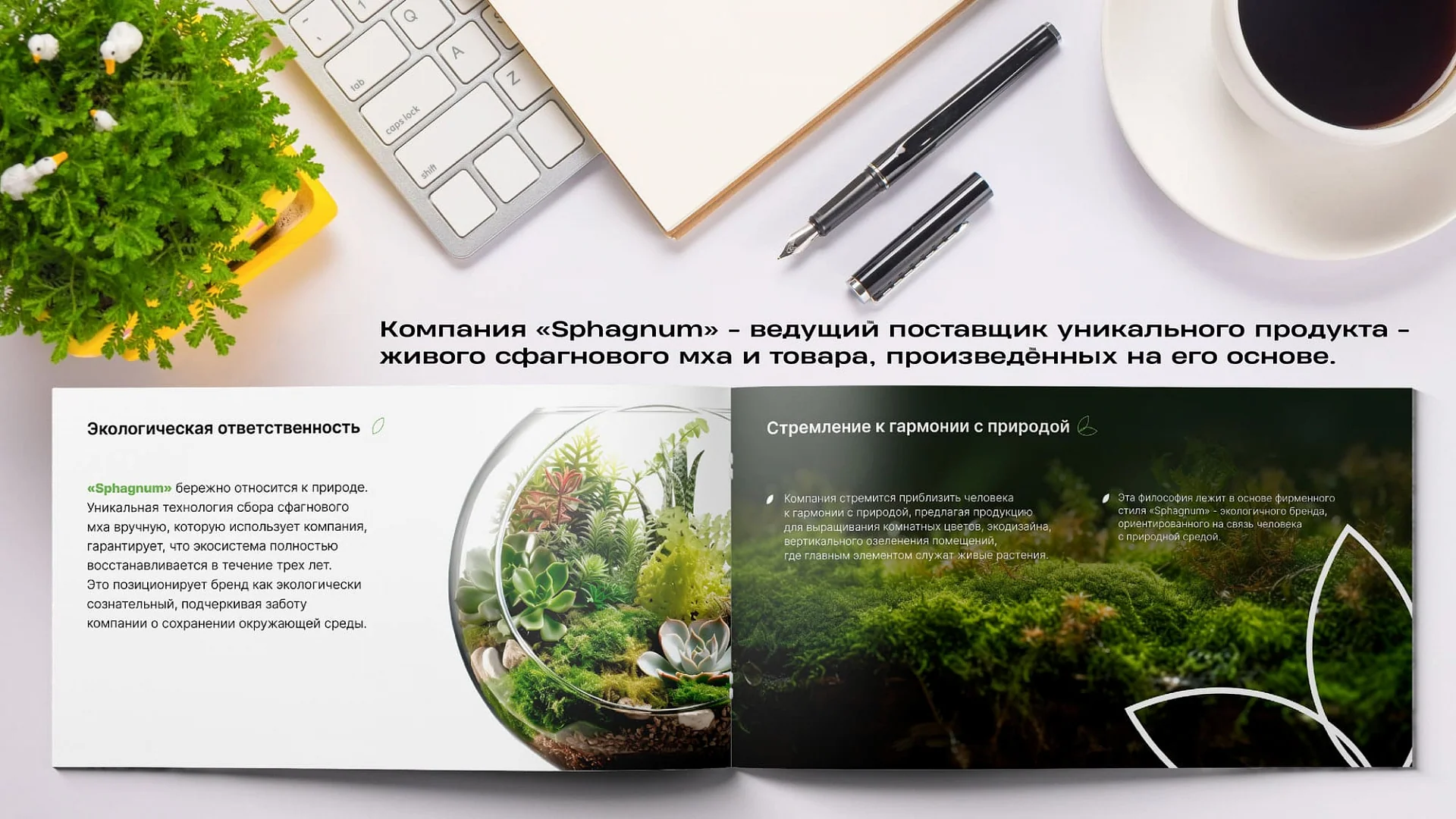 Кейс «Сфагнум» разработка брендбука — Фото 1