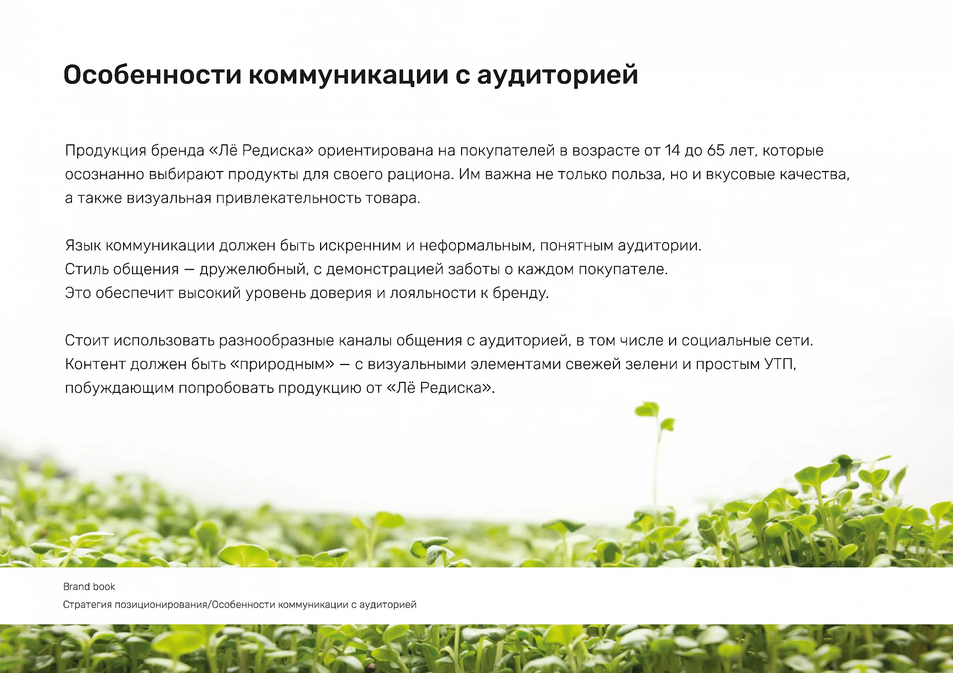 Кейс Le Rediska разработка брендбука — Фото 18