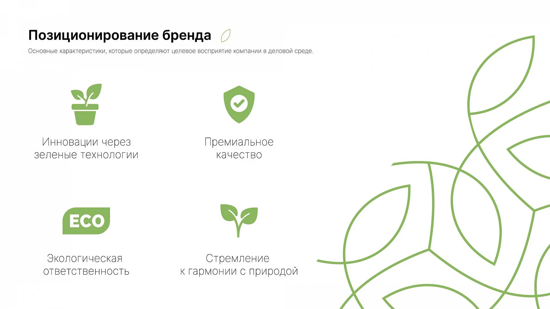 Кейс «Сфагнум» разработка брендбука — Фото 9