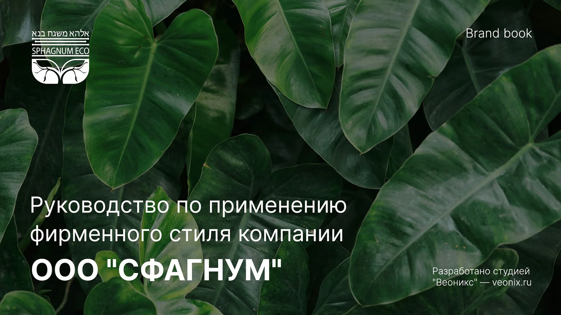Кейс «Сфагнум» разработка брендбука — Фото 5