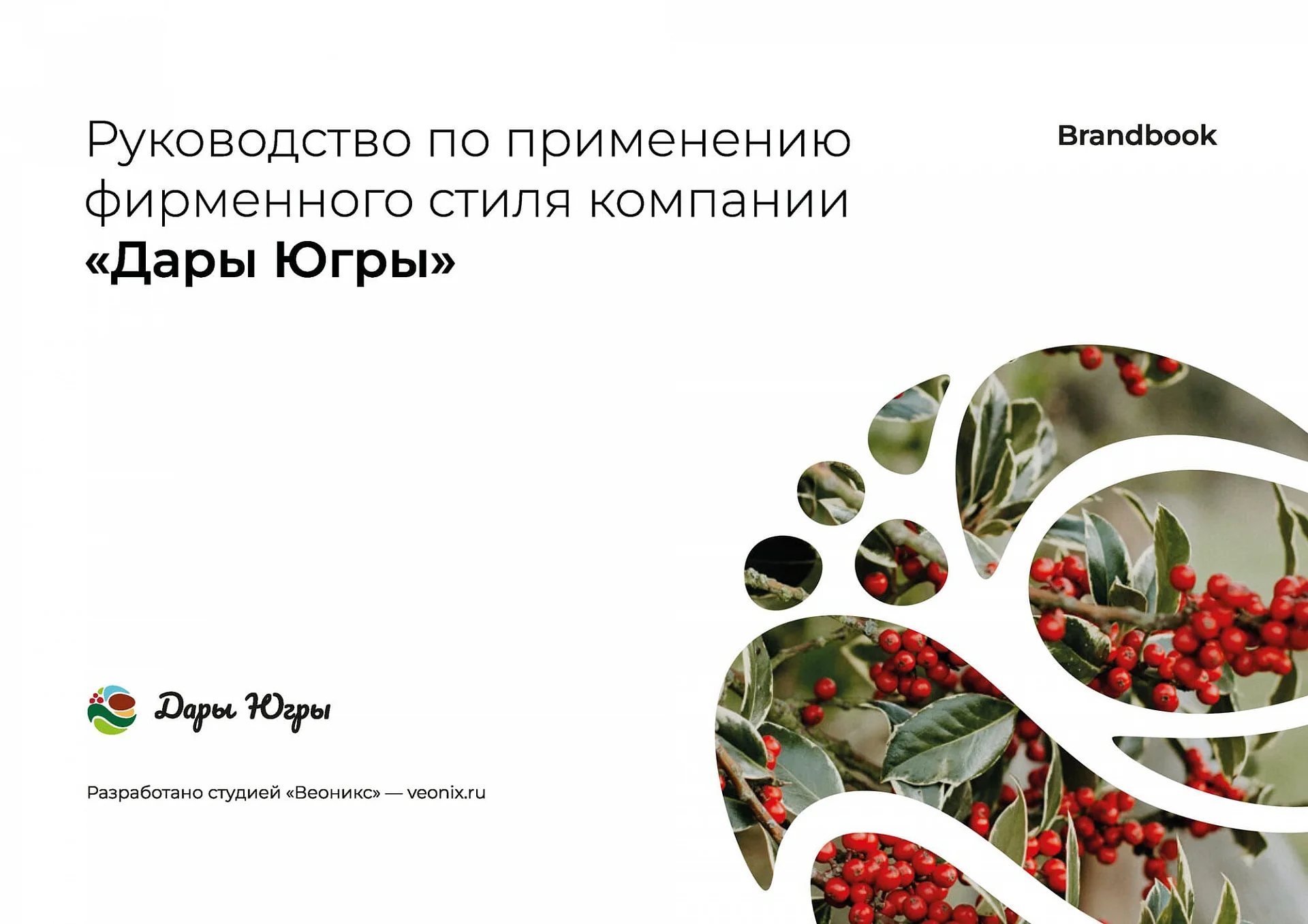 Кейс «Дары Югры» разработка брендбука — Фото 5