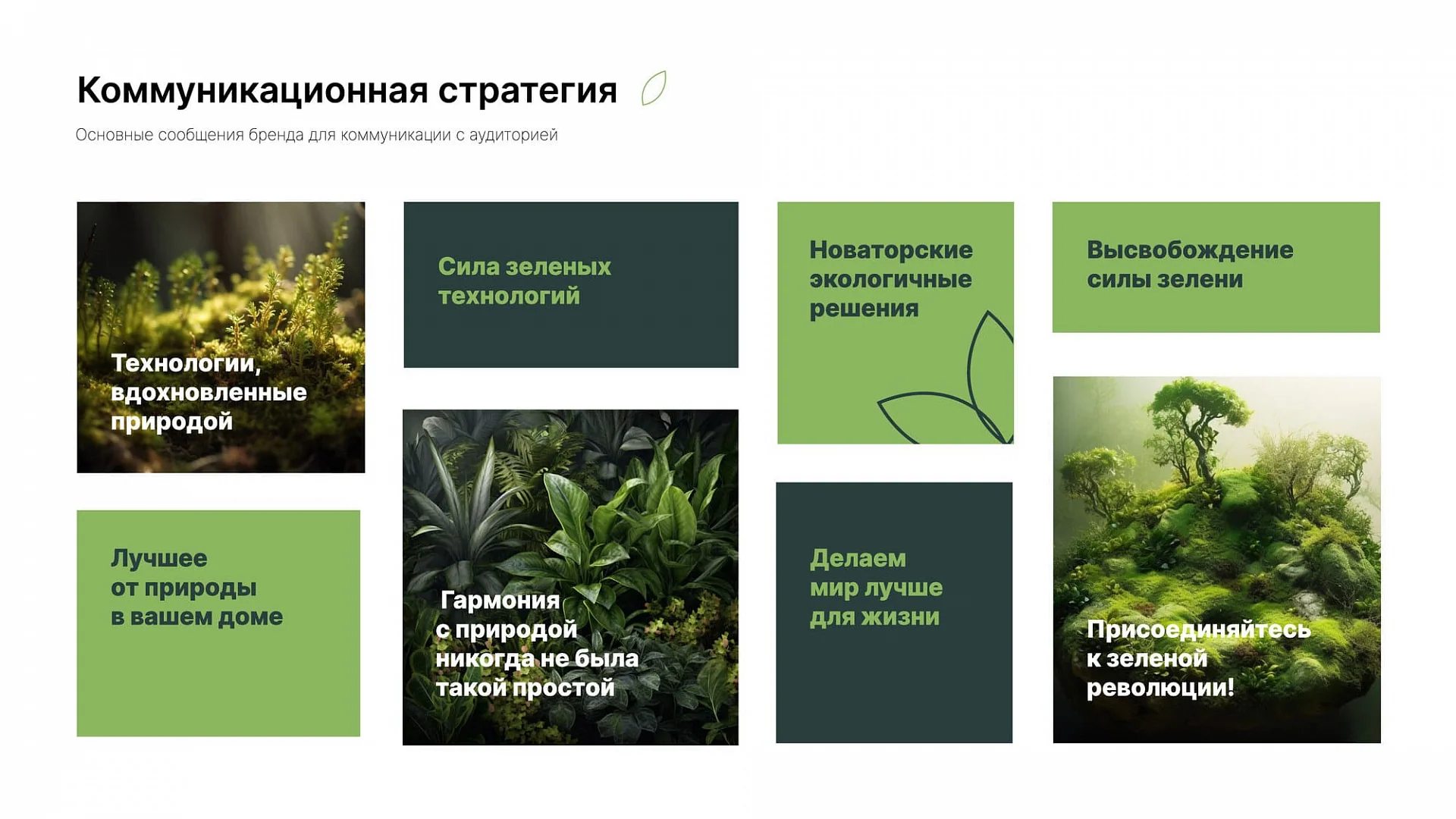 Кейс «Сфагнум» разработка брендбука — Фото 14