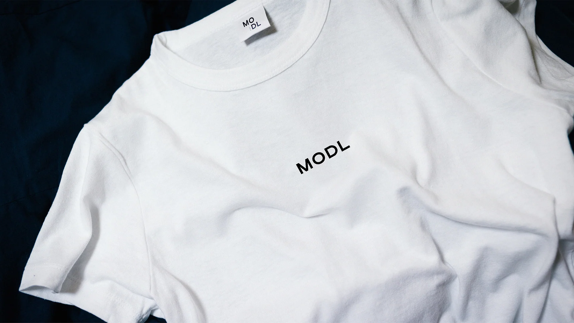 Кейс «MODL» разработка брендинга — Фото 3