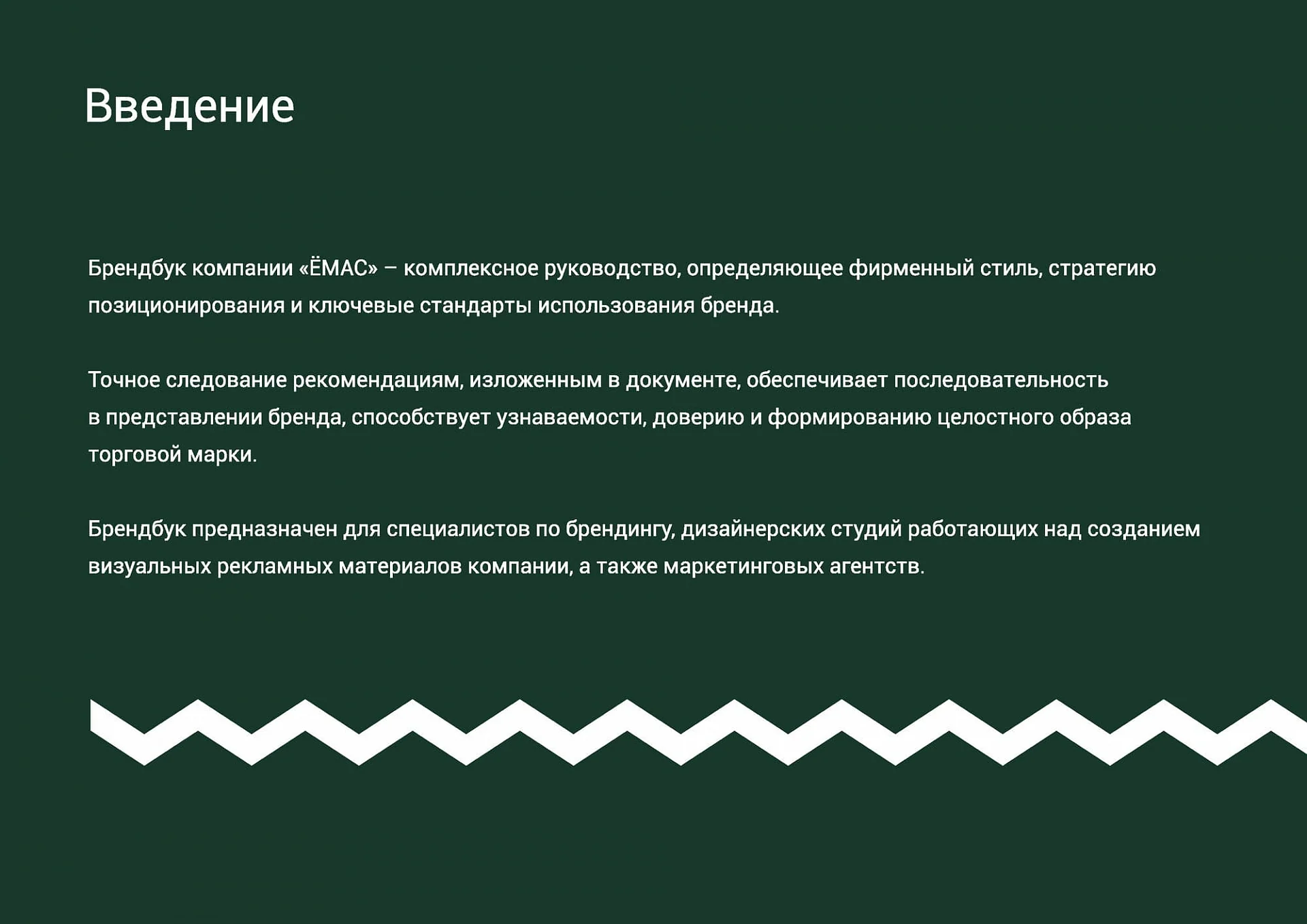 Кейс Производитель одежды «Ёмас» разработка брендбука — Фото 6