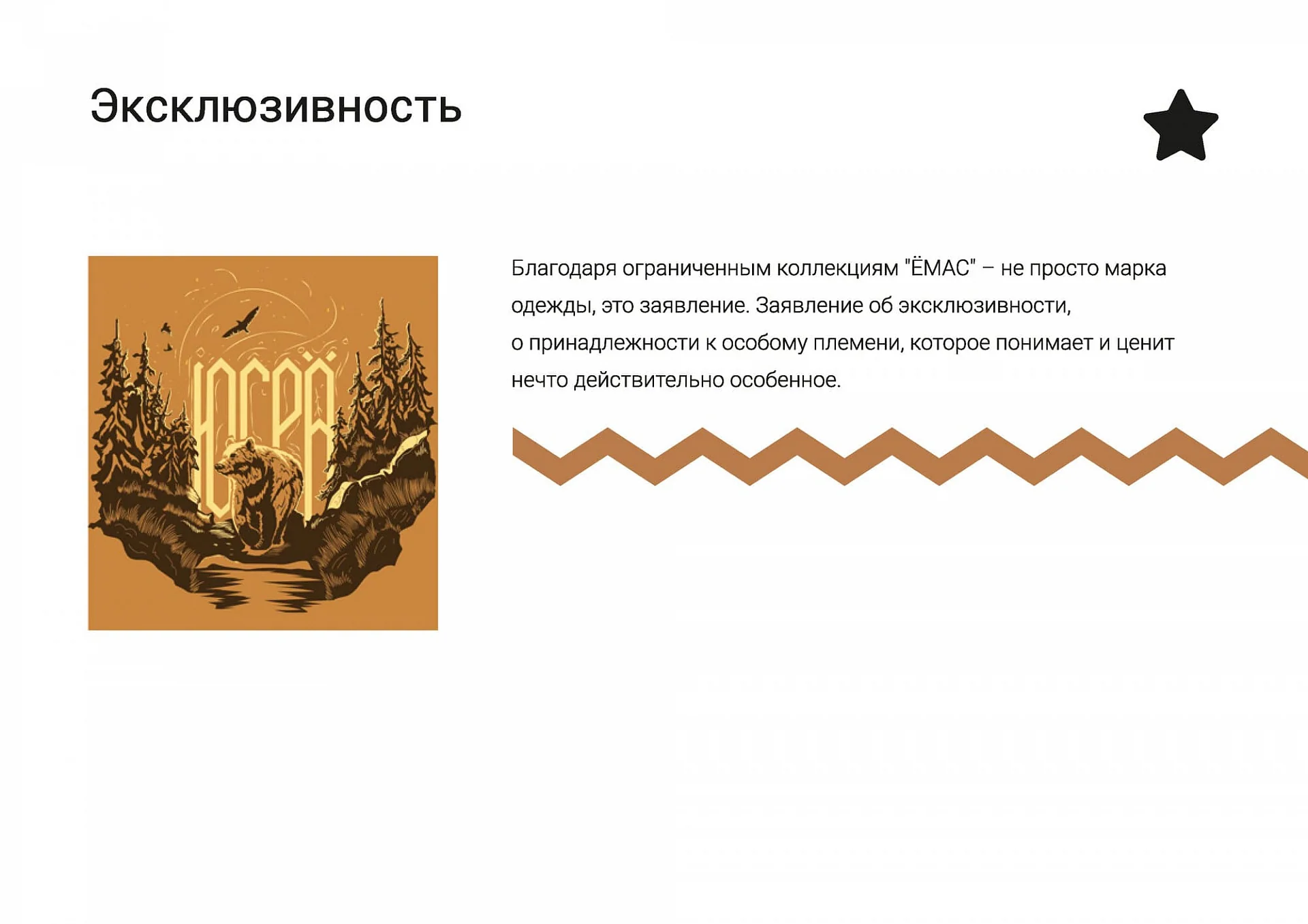 Кейс Производитель одежды «Ёмас» разработка брендбука — Фото 15