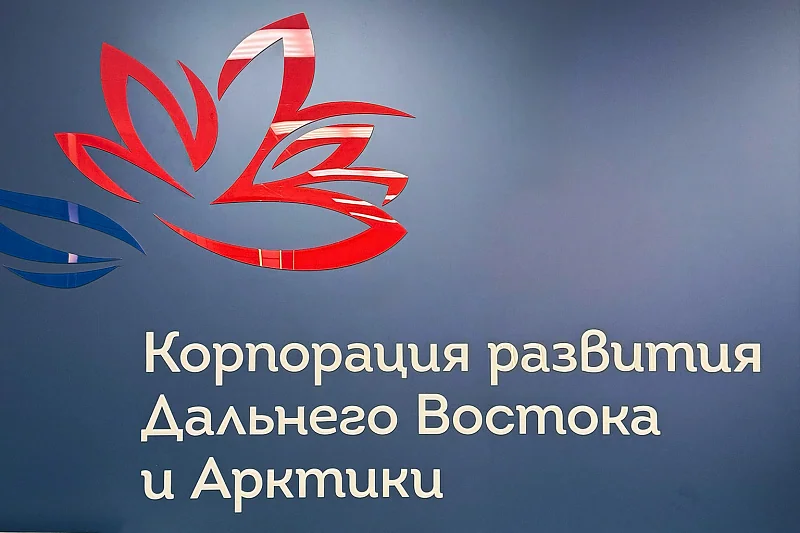 Вектор на Дальний Восток: эксперты студии дизайна «Веоникс» приняли участие в сессии ВЭФ
